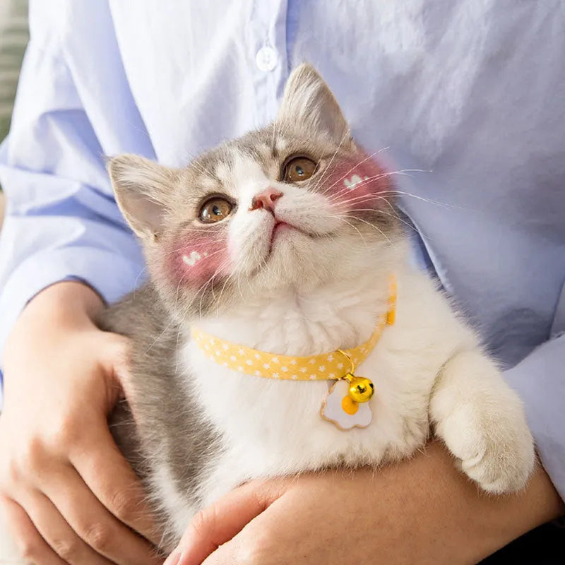 Green adjustable cat collar with a small bell and bow tie pendant on a white background.