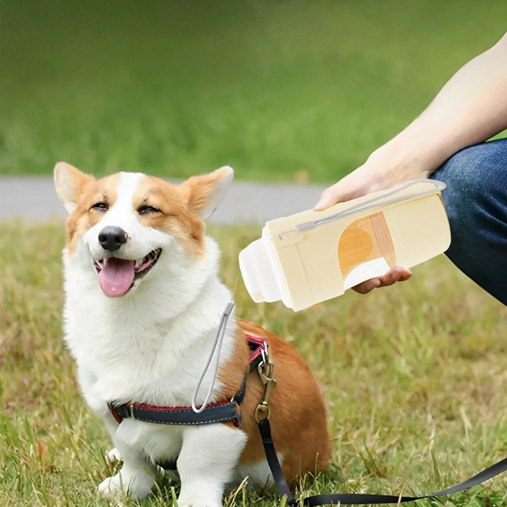 Grey portable 2-in-1 dog travel water bottle and feeder with detachable lanyard.