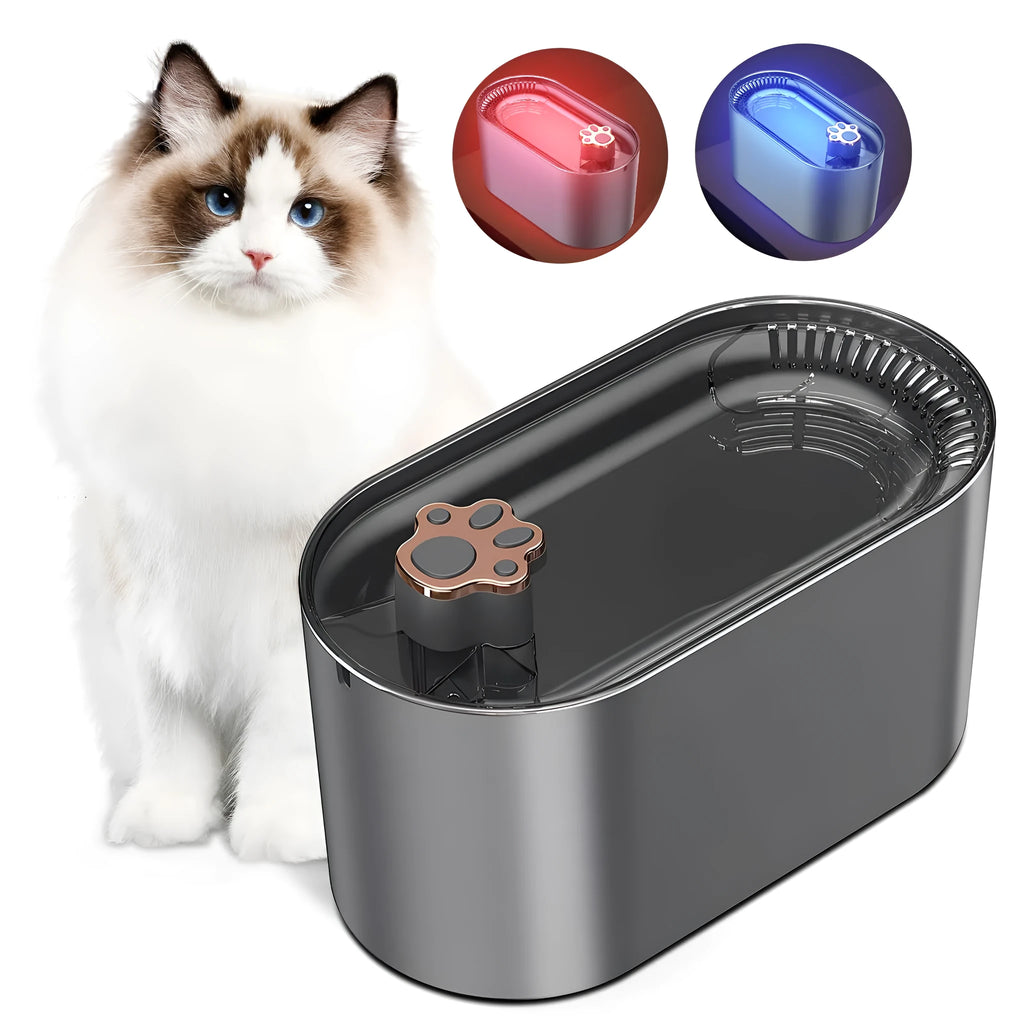 Berlin blue coloured 3-litre pet water fountain with filter and LED light indicator on a floor.