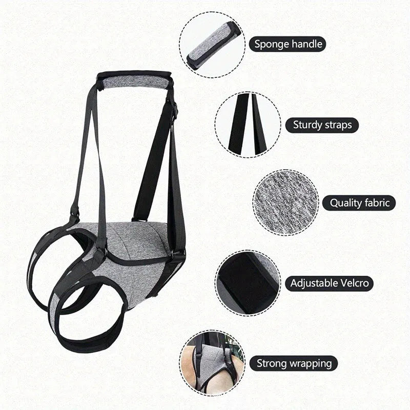 Grey neoprene recovery support belt for a dog's injured rear leg on a size chart.