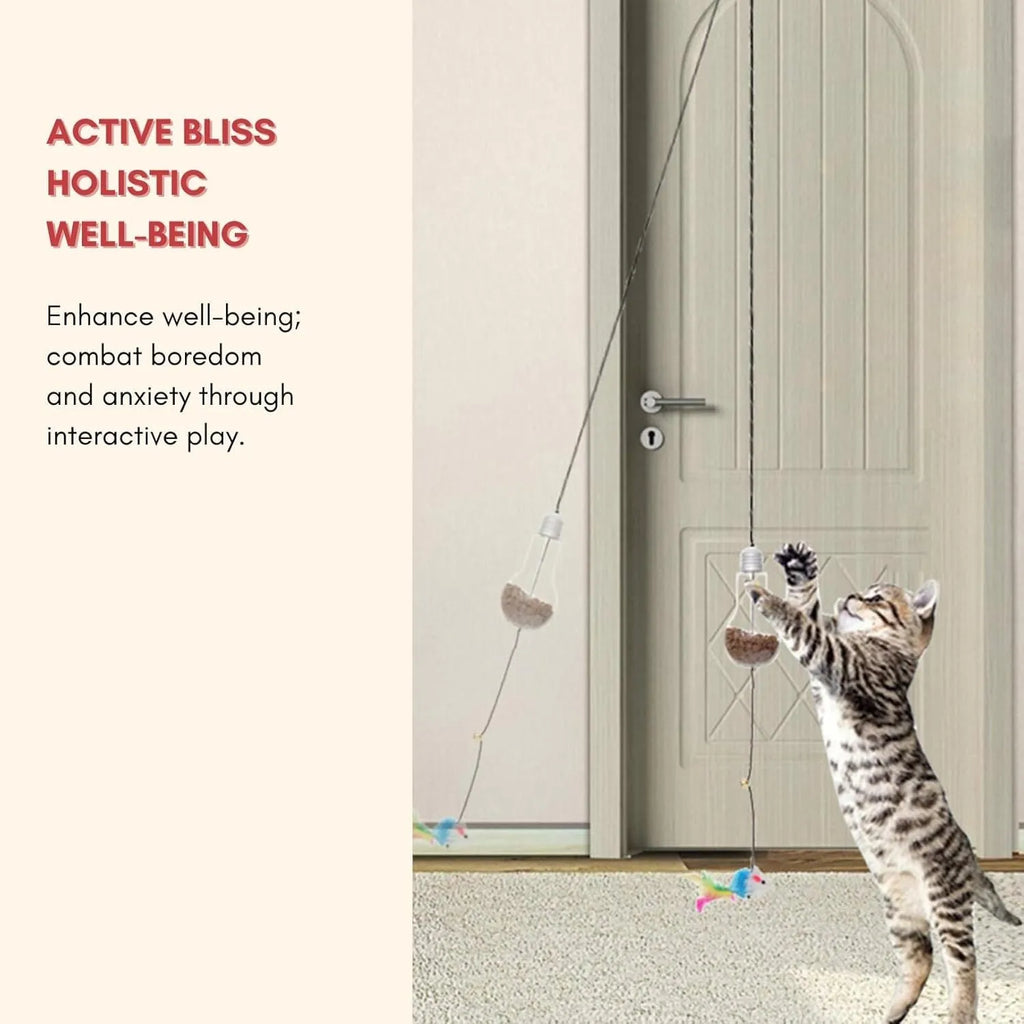 Retractable cat teaser toy hanging on door frame with dangling mouse toy and treat reward bulb