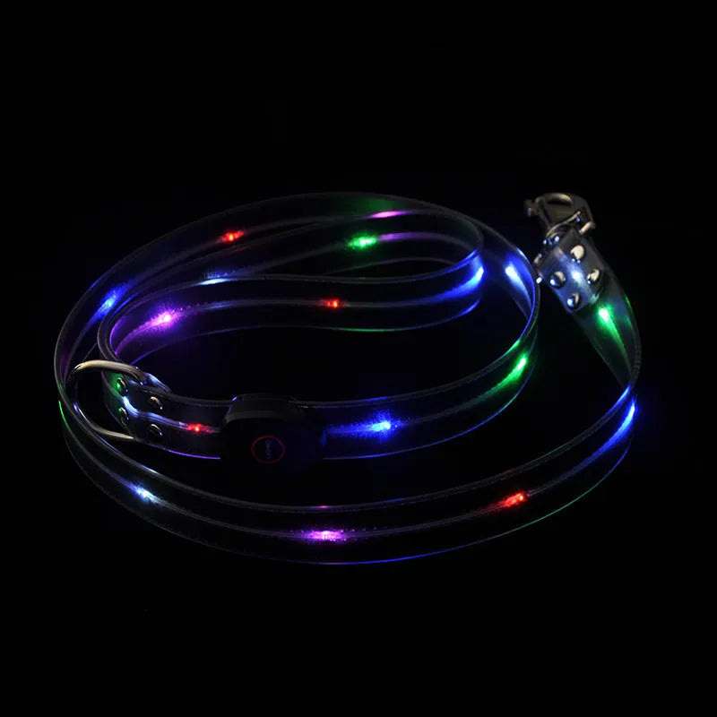 PVC dog leash and collar in orange, black, fluorescent green, or blue, showing 120cm length and hand-holding handle.