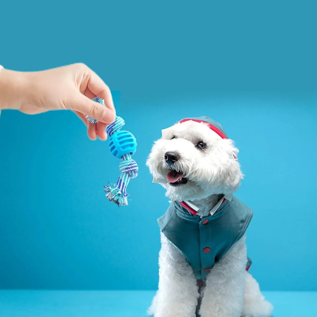 Blue dog chew toy with rope elements for dental cleaning and oral health