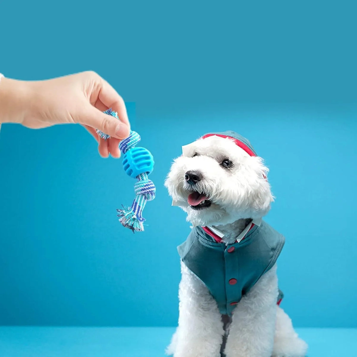 Blue dog chew toy with rope elements for dental cleaning and oral health