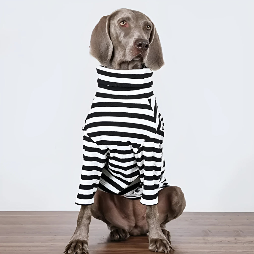Black and white thin polyester inner layer dog clothing showing size tags M L XL XXL XXXL