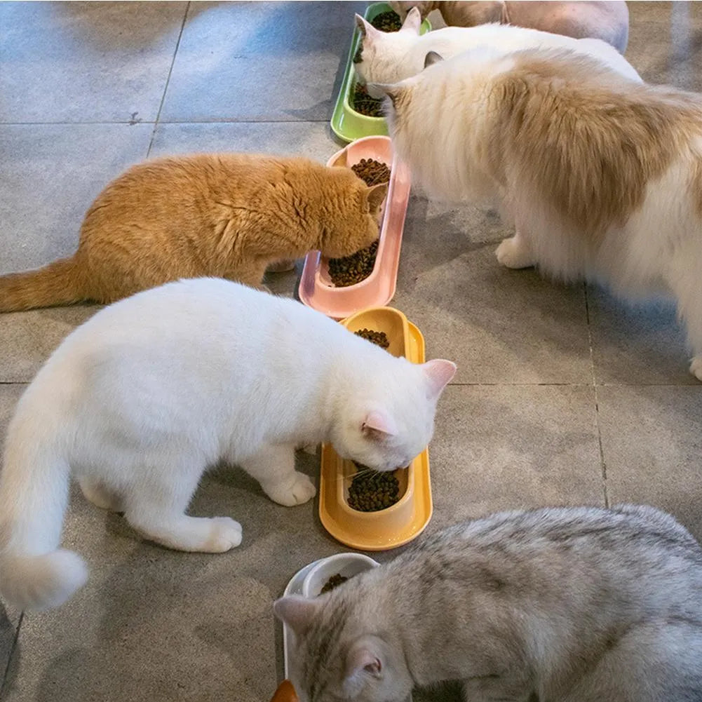 Green double-bowl pet feeder for dog food and water on a floor.
