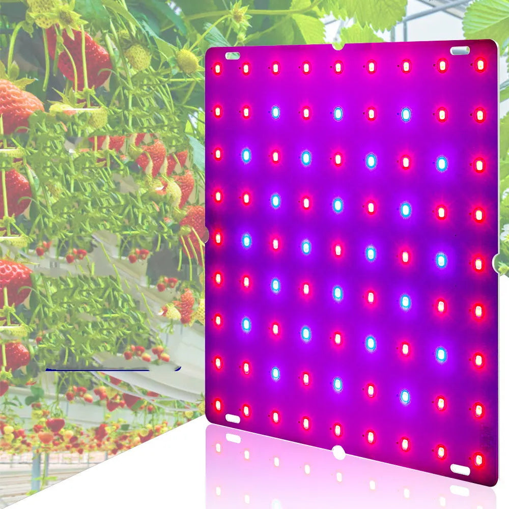 D-section bare board LED plant light with aluminum housing for indoor fruit and vegetable growing