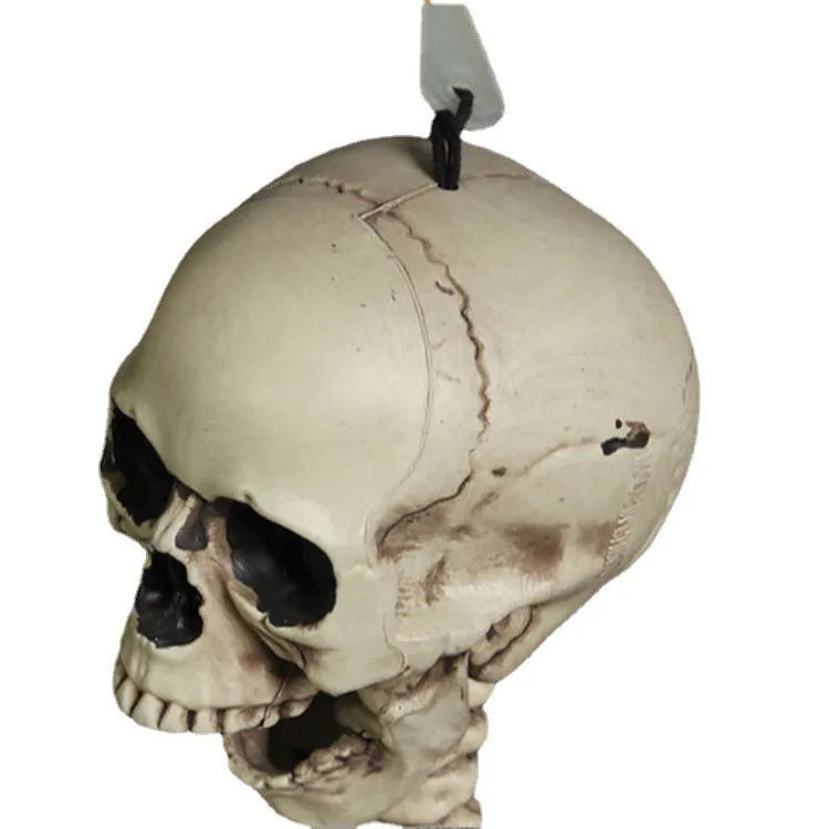170 cm tall plastic skeleton prop with detailed human skull for Halloween or display