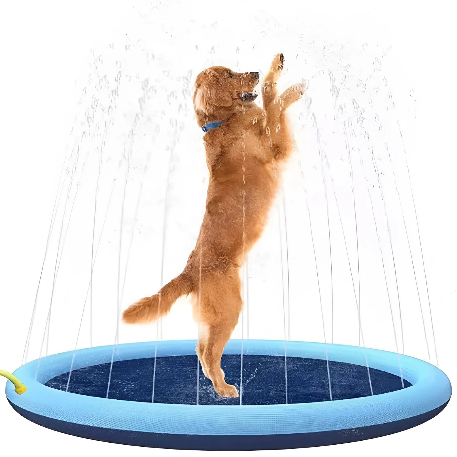 Anti-slip dog splash pad sprinkler toy on grass, showing textured PVC surface and hose connection.