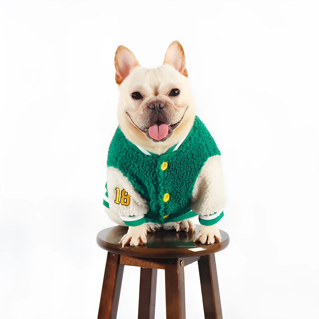Green fleece-lined dog winter coat shown on a large dog, sizes include L, XL, XXL, 3XL, and 4XL.