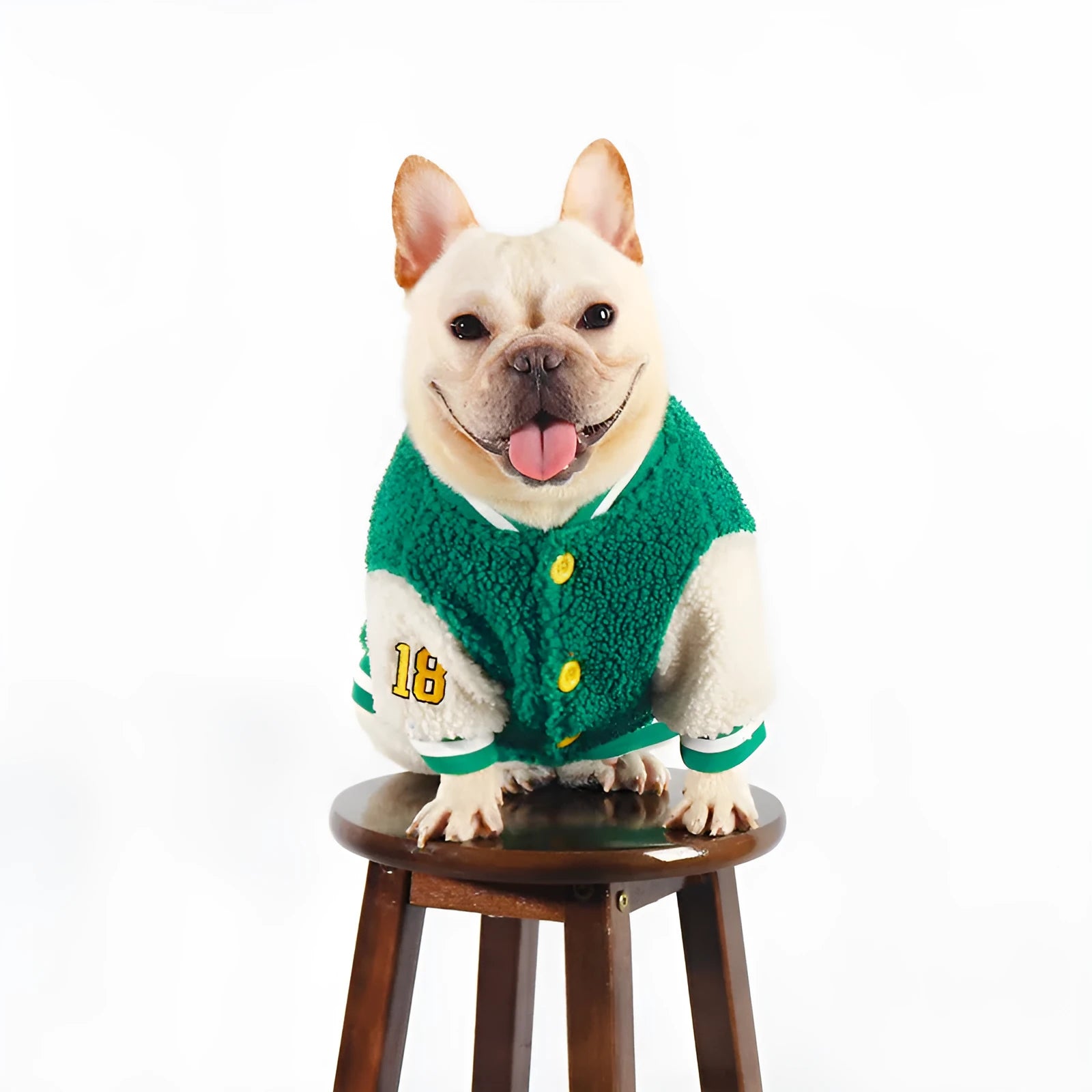 Green fleece-lined dog winter coat shown on a large dog, sizes include L, XL, XXL, 3XL, and 4XL.