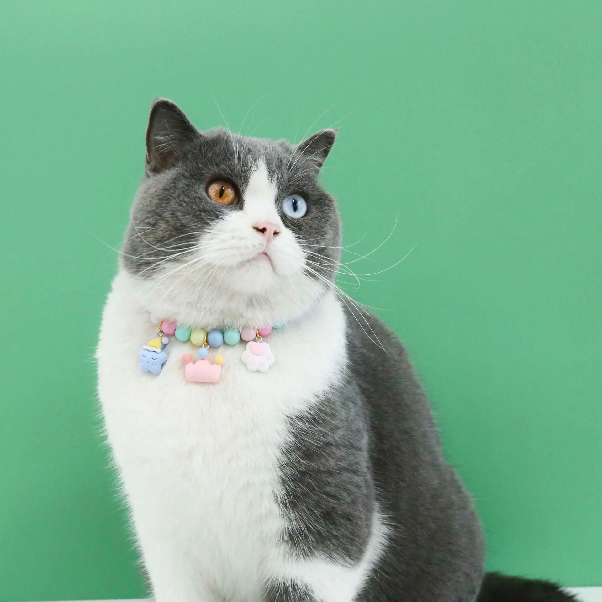 Colourful resin pet costume collar necklace bracelet set in macaron themes for birthday photography