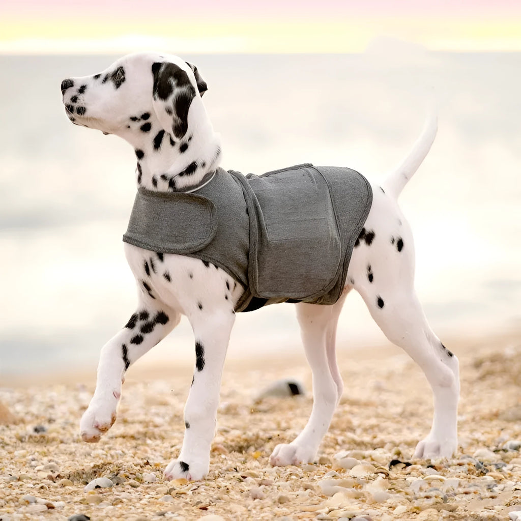 Heather grey dog anxiety jacket in brocade cotton ponte-de-roma fabric showing weight-based sizing options