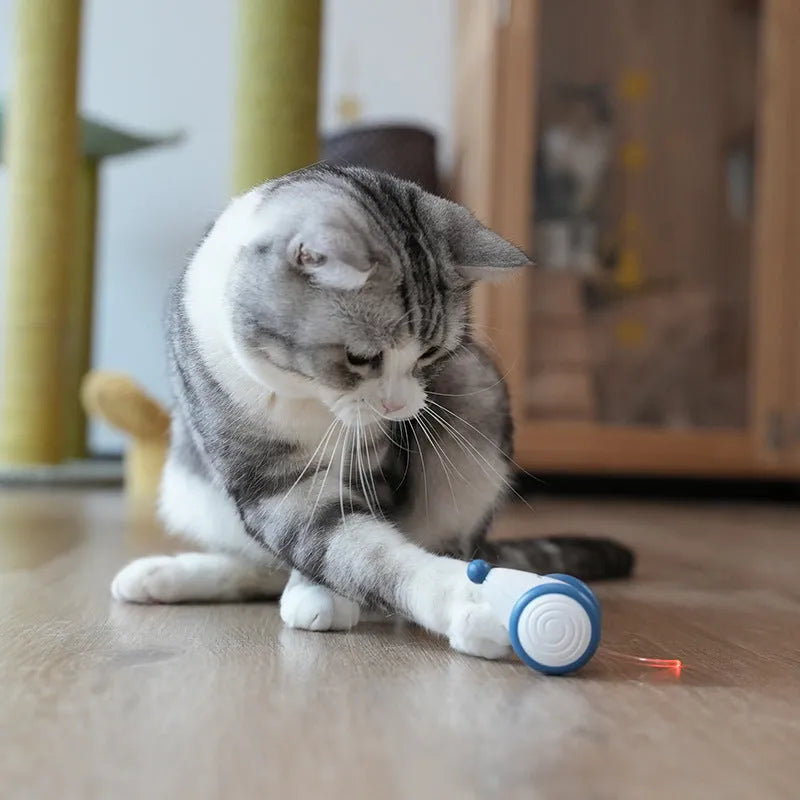 Blue electric cat toy mouse with automatic motion, 60x50x36mm, USB rechargeable, ABS TPU PVC