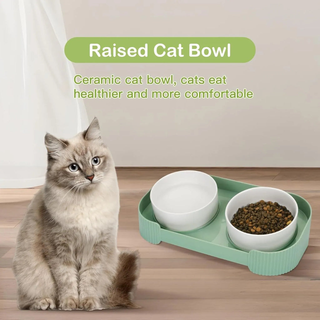 Green ceramic elevated cat bowls with 15 degree tilt on non-slip base