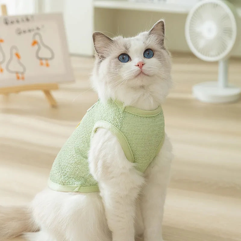 Cat wearing hollowed-out knitted clothes with bear patch design in blue colour