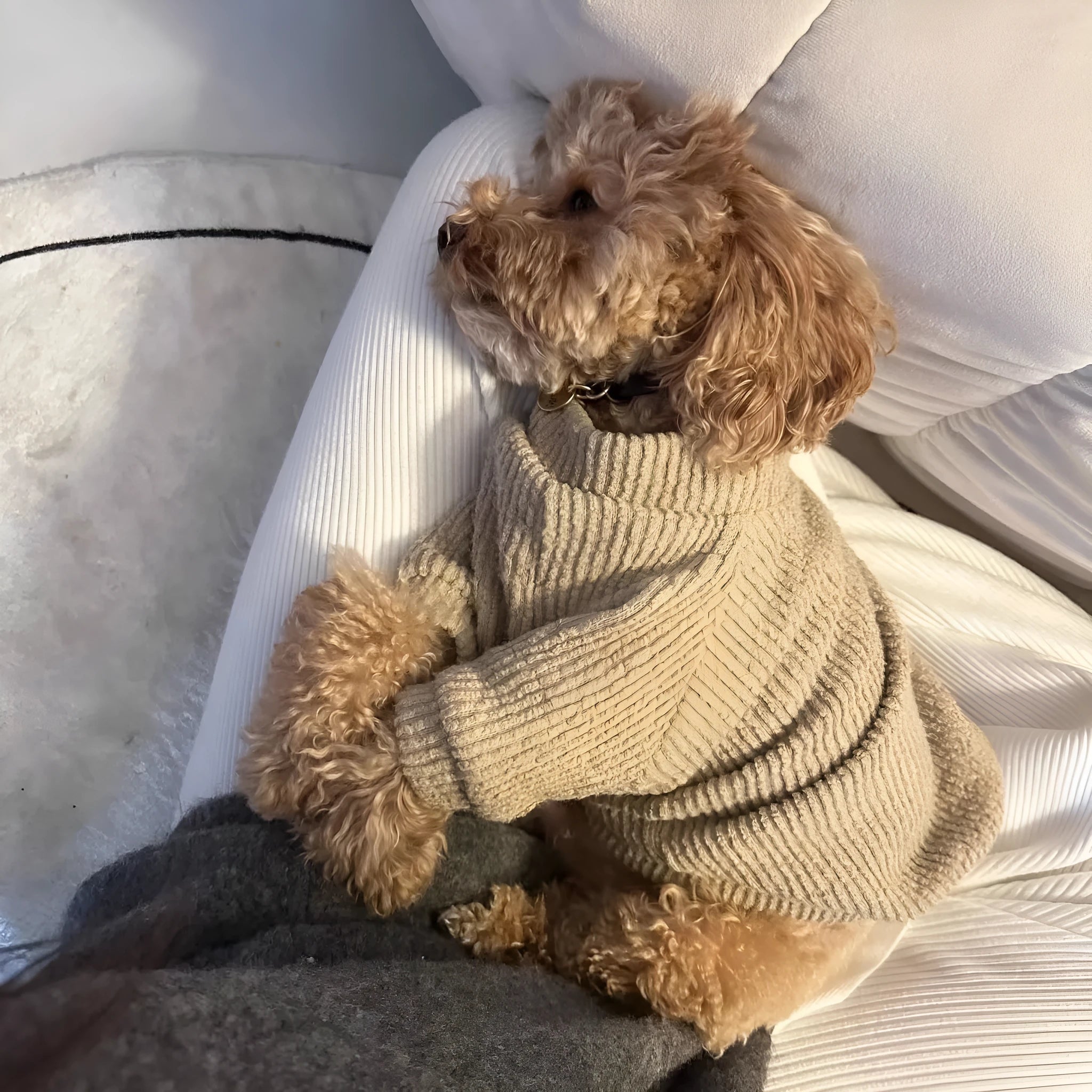 Brown casual cloth dog sweater pullover for small breeds in five sizes