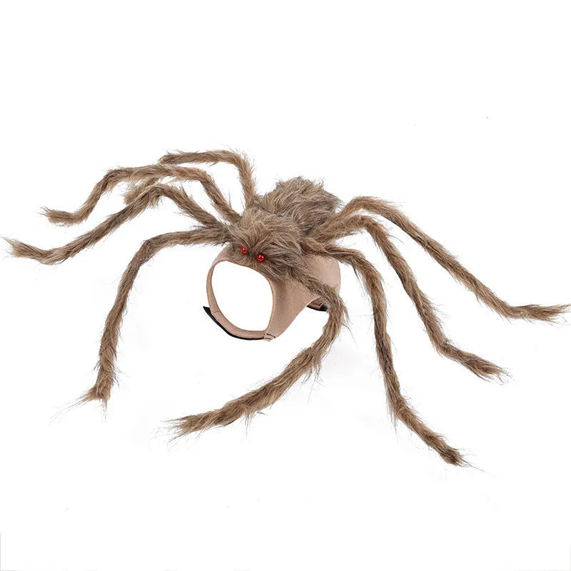 Halloween spider costume for pets in four colour variations with three size options