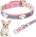 Reflective brown leather dog collar with metal buckle and cute paw-shaped rivet detail.