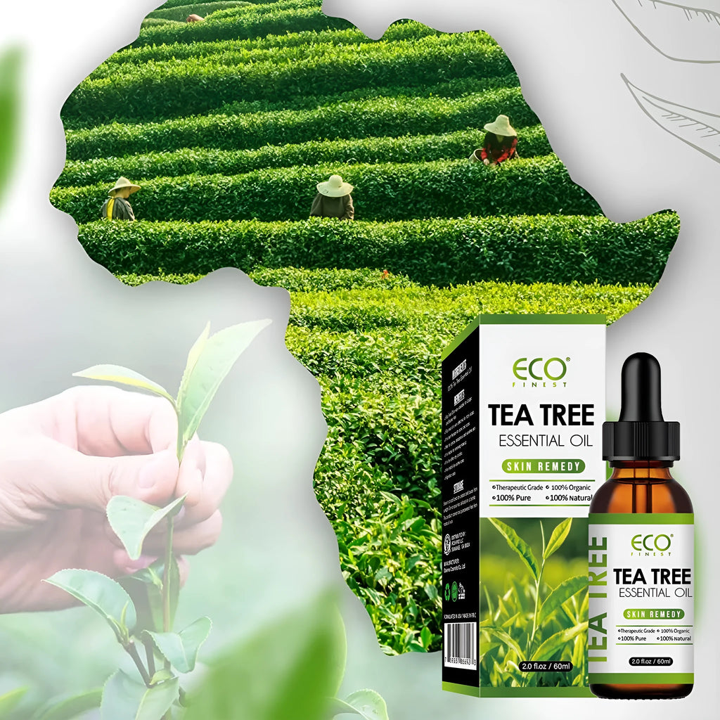 60ml bottle of Australian tea tree essential oil for massage and skin application