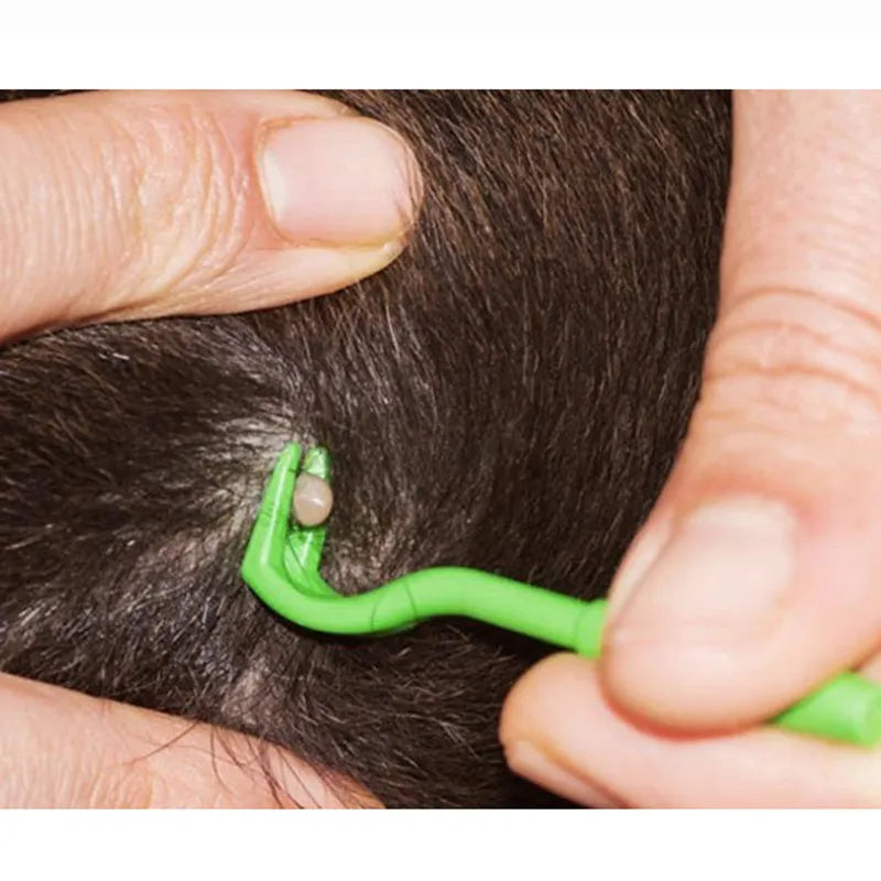 3 pack plastic pet tick removal clips in blue and green colours with hook design