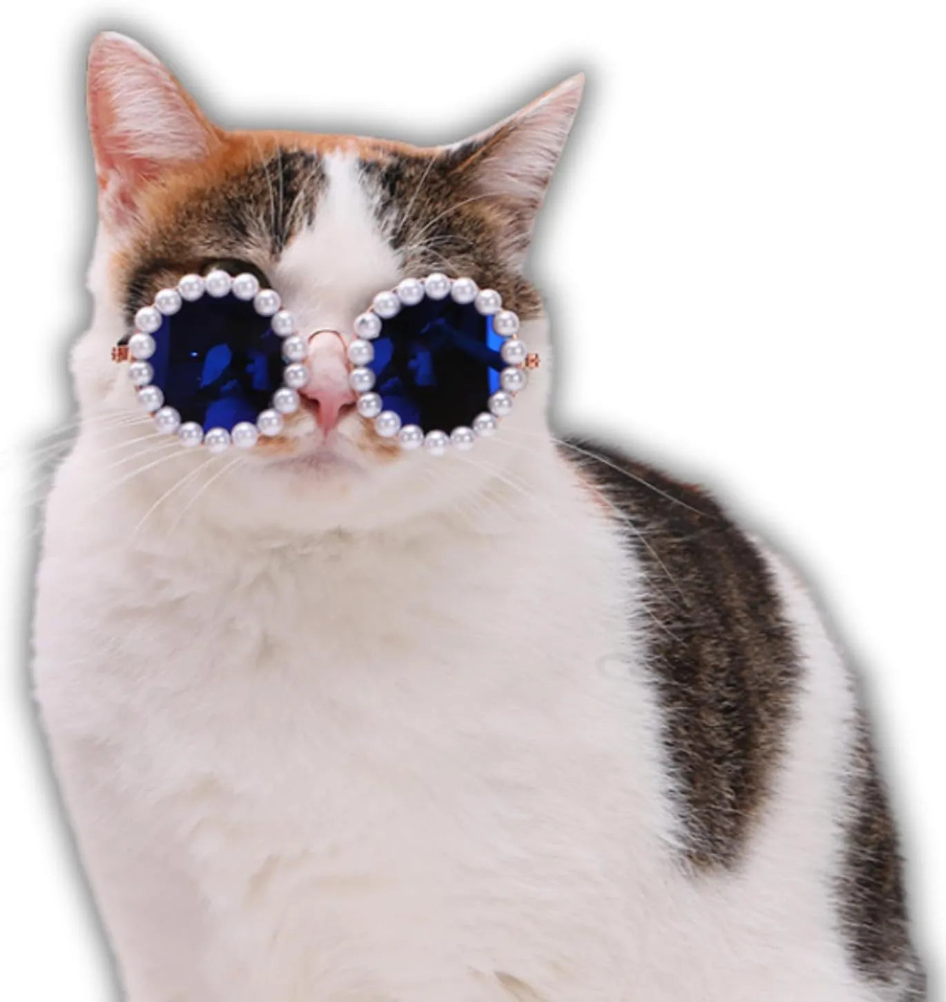 Round pearl sunglasses for a cat or dog, shown in blue on a neutral background.