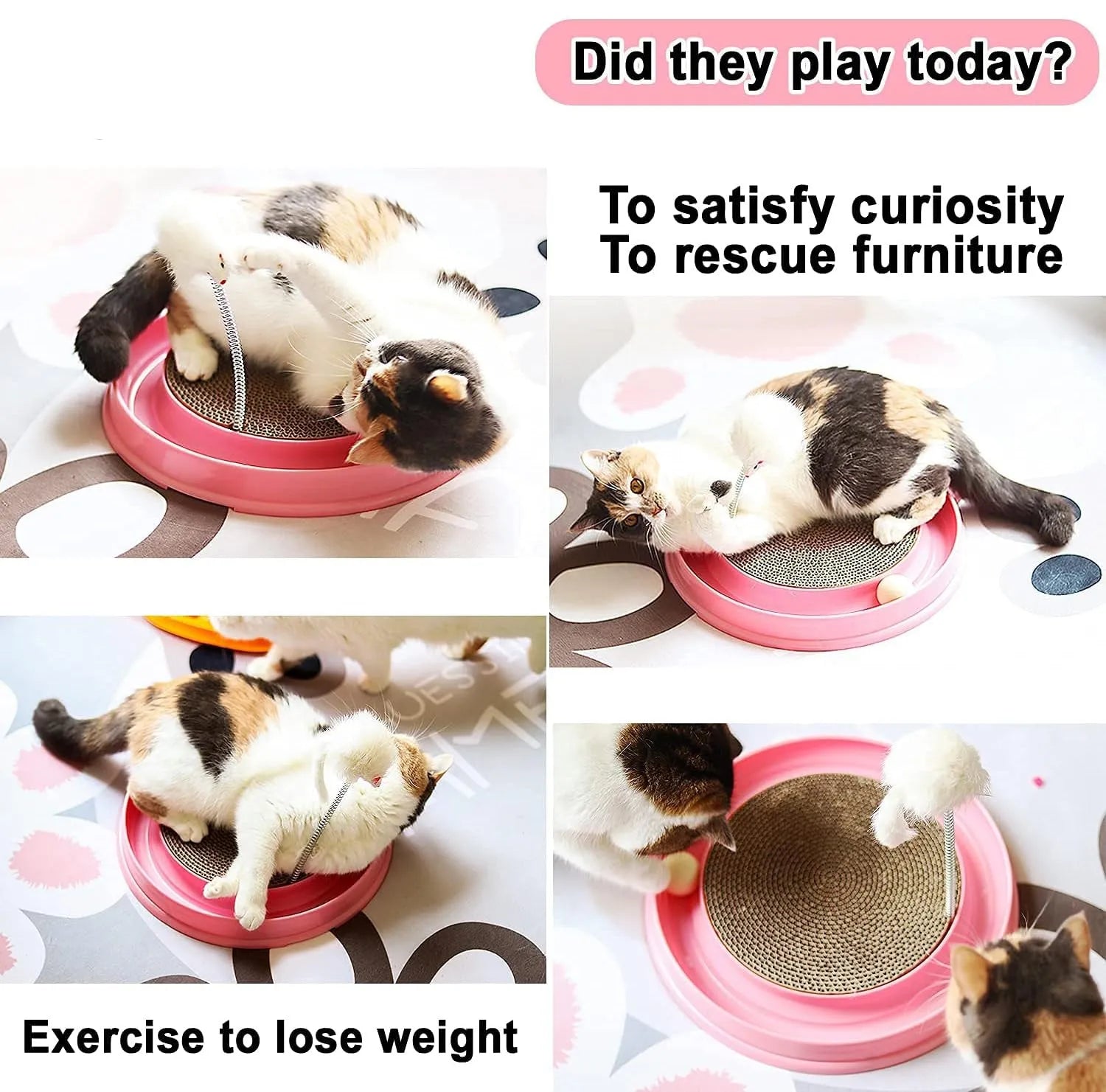 Blue interactive cat scratcher toy with a ball in a track and a corrugated cardboard scratch pad