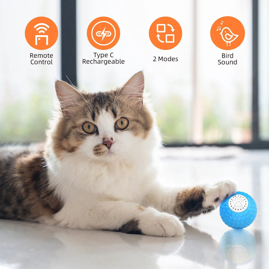 Blue remote control cat toy ball on a wooden floor next to its remote.