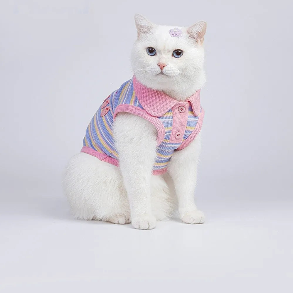 Pink purple autumn vest for a small dog on a mannequin, showing lightweight design.