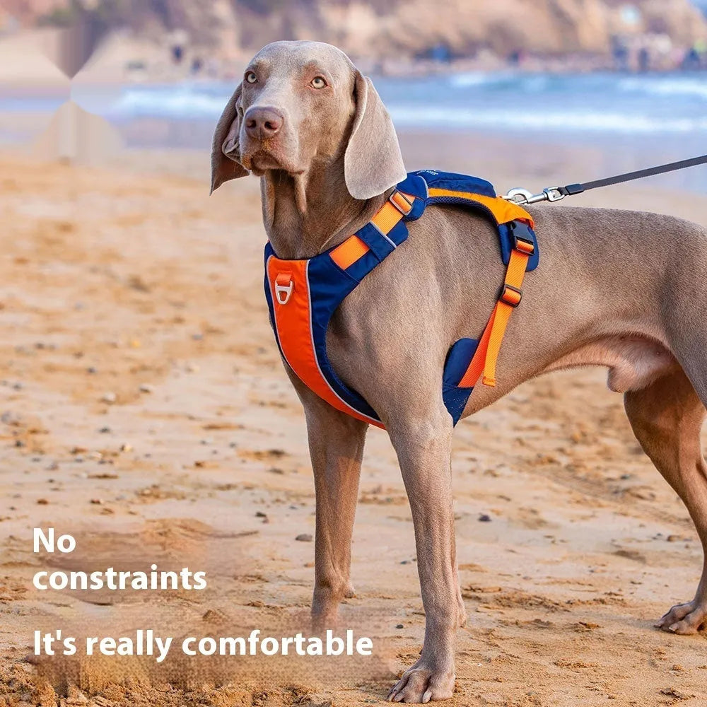 Dog wearing orange blue vest harness with chest and back attachment rings
