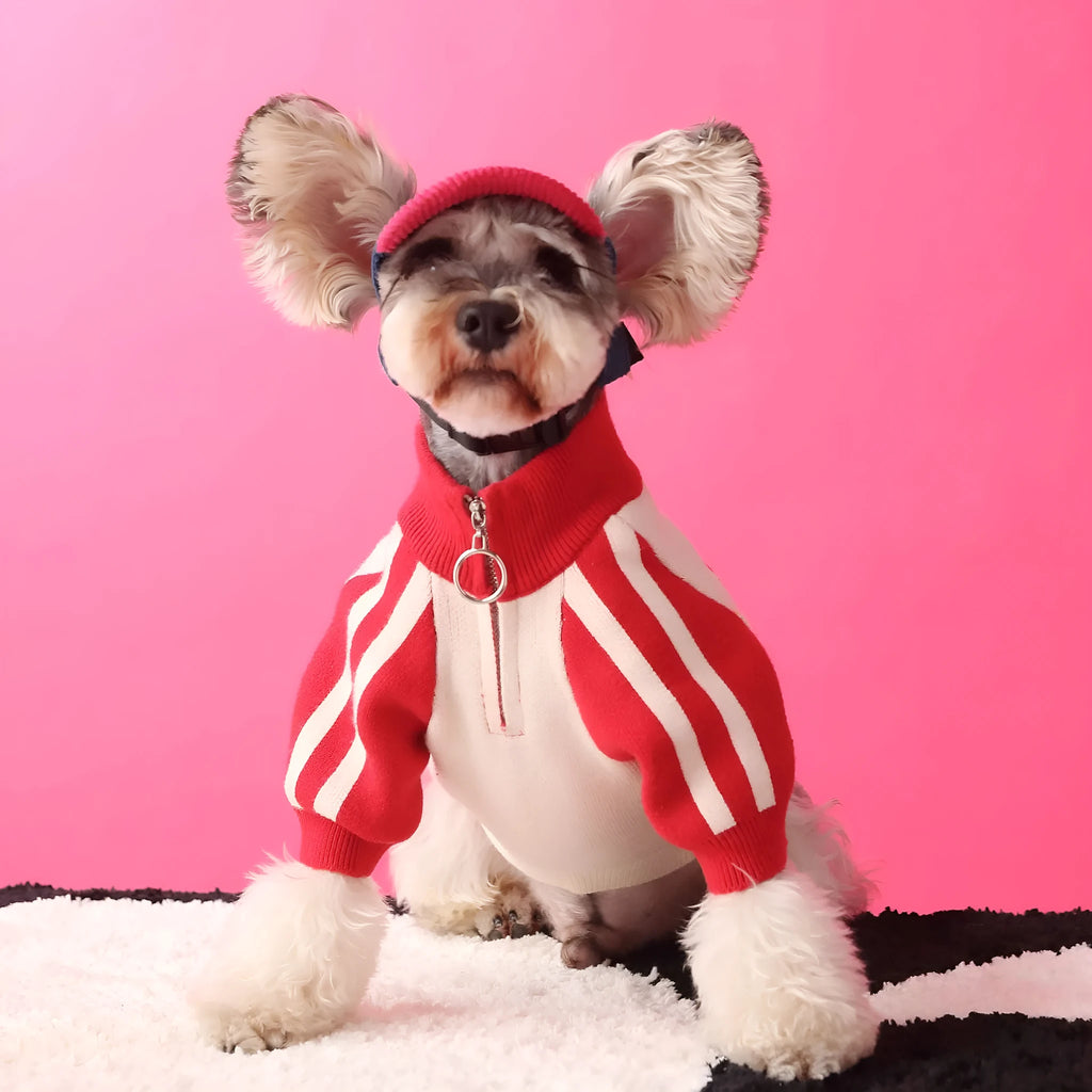 Red puppy dog wearing wool sports cardigan sweater pet clothing