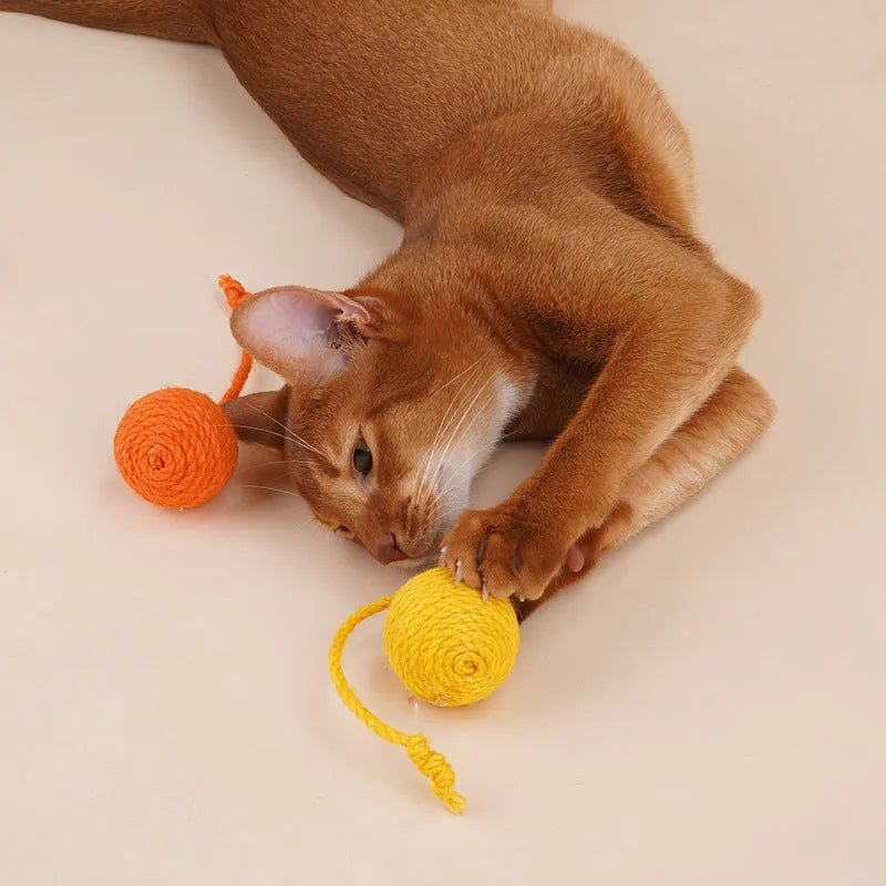 Cat toy set with teaser stick and colourful catnip balls on blue background