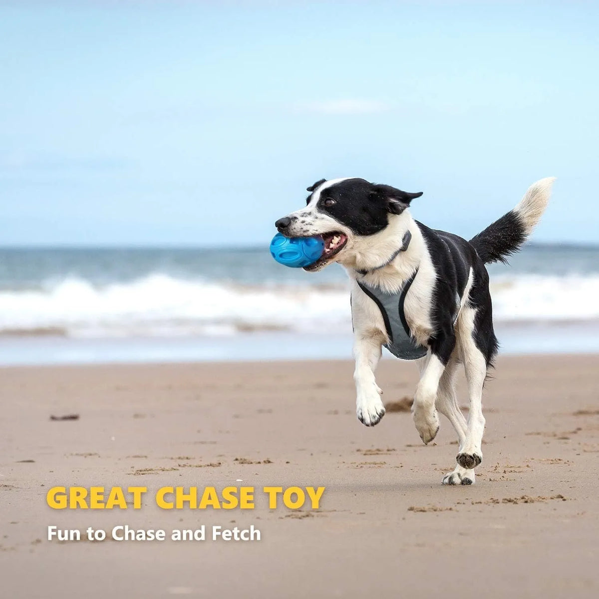 Blue natural rubber squeaky dog toy with textured surface for medium and large breeds