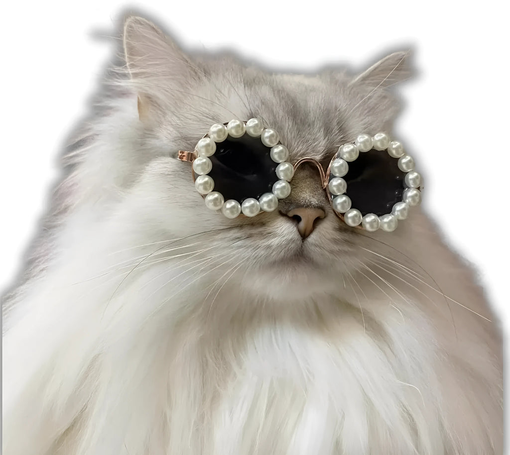 Round pearl sunglasses for a cat or dog, shown in blue on a neutral background.