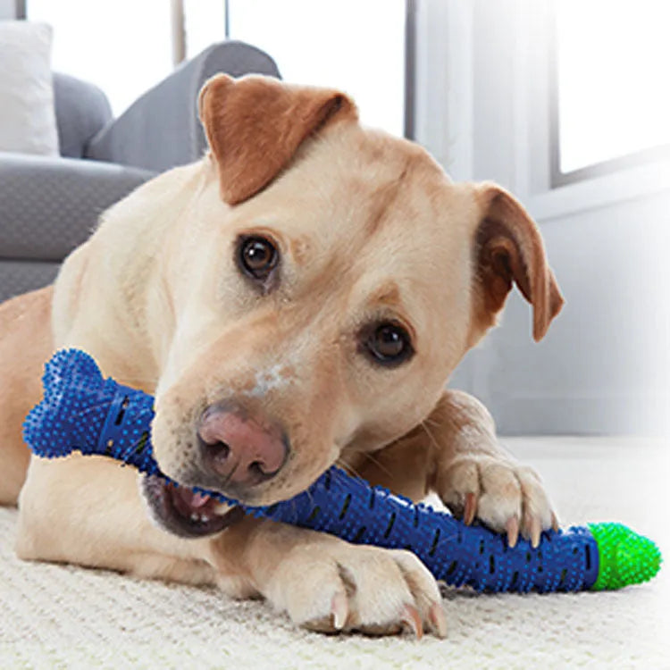 Blue-green 25cm long dog molar tooth cleaner chew toy with silicone bristles and massage nodules