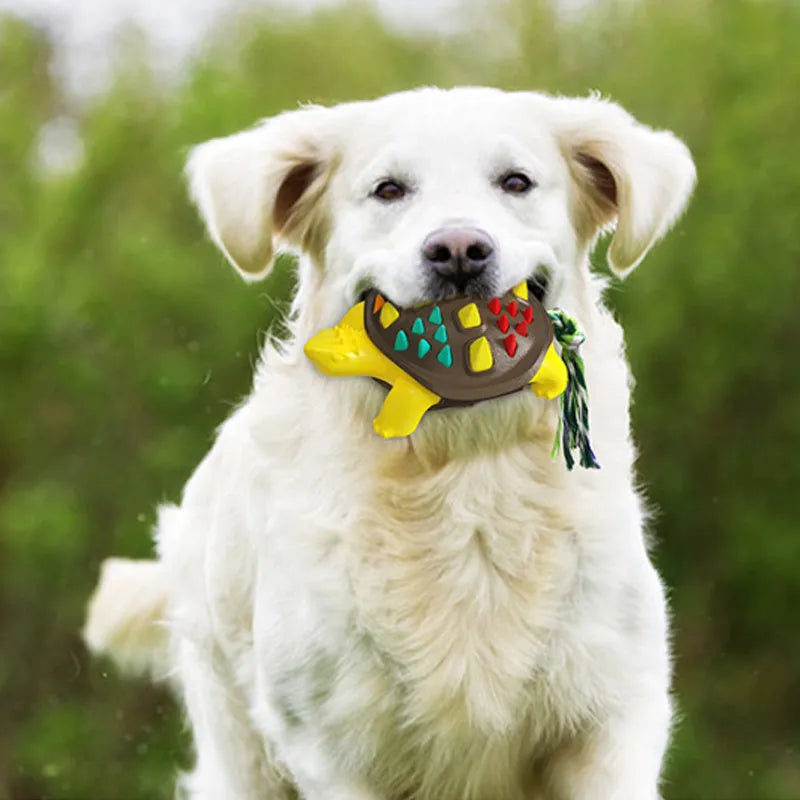 Natural rubber dog toothbrush chew toy with dinosaur knot tail in two-tone colours
