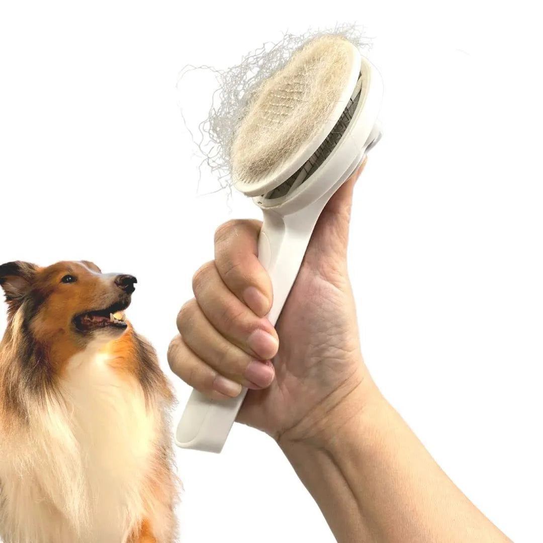 Blue self-cleaning slicker brush for dogs and cats with stainless steel pins and a rubber handle.