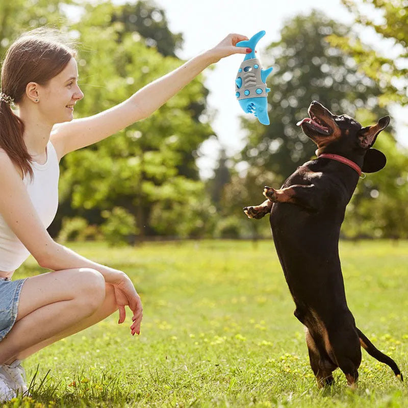 Shark-tooth textured dog teething toy in blue colour with bite-resistant material