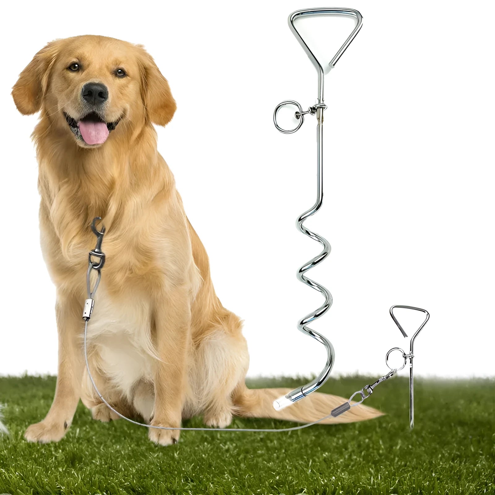 Silver spiral dog tie out stake made of steel for secure outdoor tethering in gardens and campsites