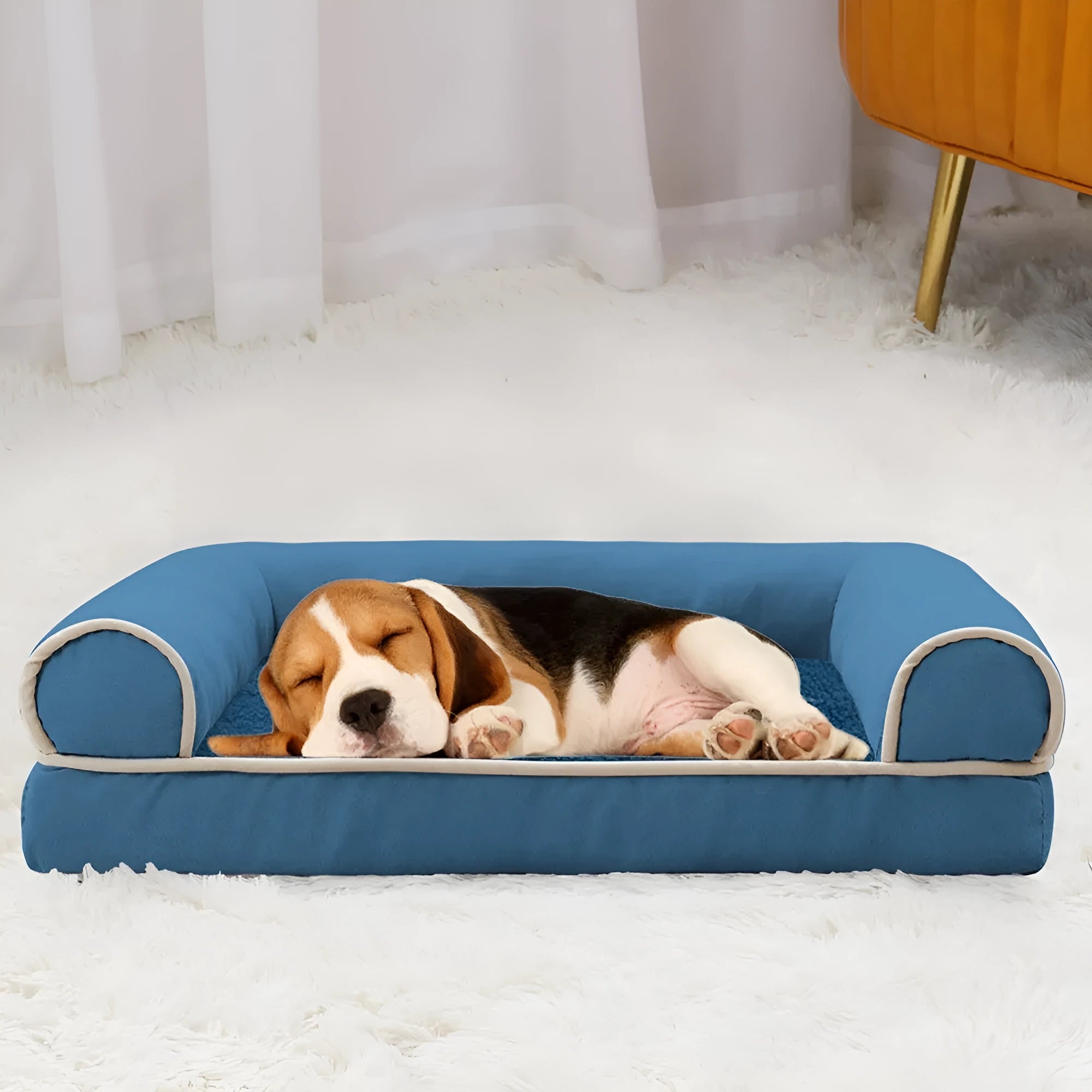 Square can design sponge dog bed in blue colour showing breathable mattress construction