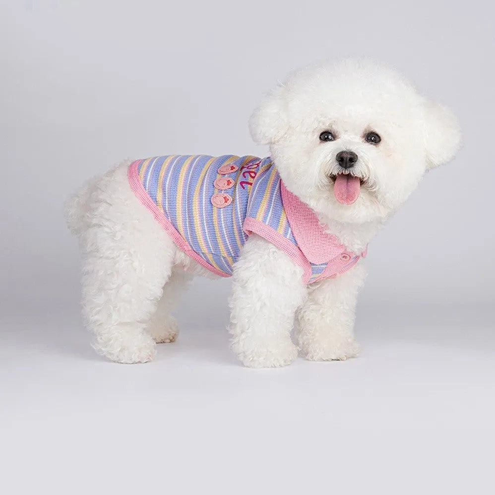 Pink purple autumn vest for a small dog on a mannequin, showing lightweight design.