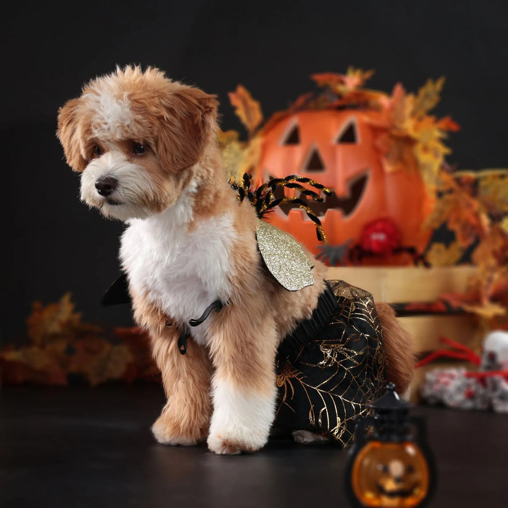 Polyester dog Halloween costume in suit design showing full-body coverage for seasonal pet events