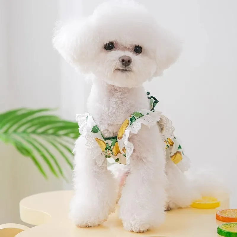Rock yellow lemon polyester princess-style dog skirt dress with thin breathable fabric and straps.