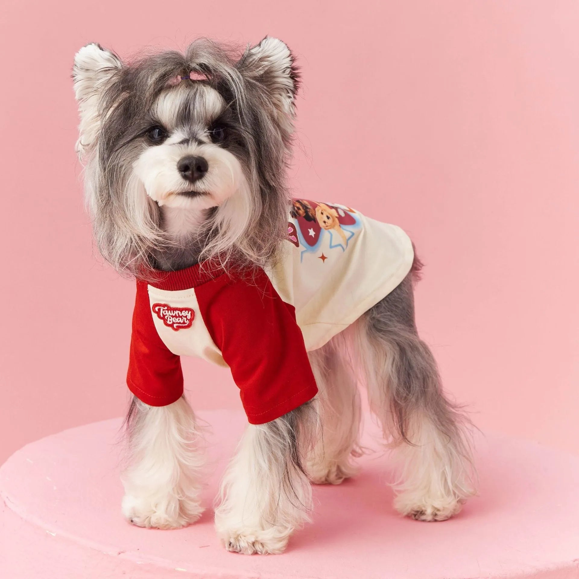 Cotton dog summer clothes with embroidery in red or pink colour options