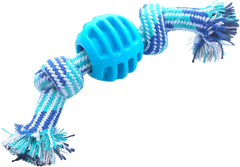 Blue dog chew toy with rope elements for dental cleaning and oral health
