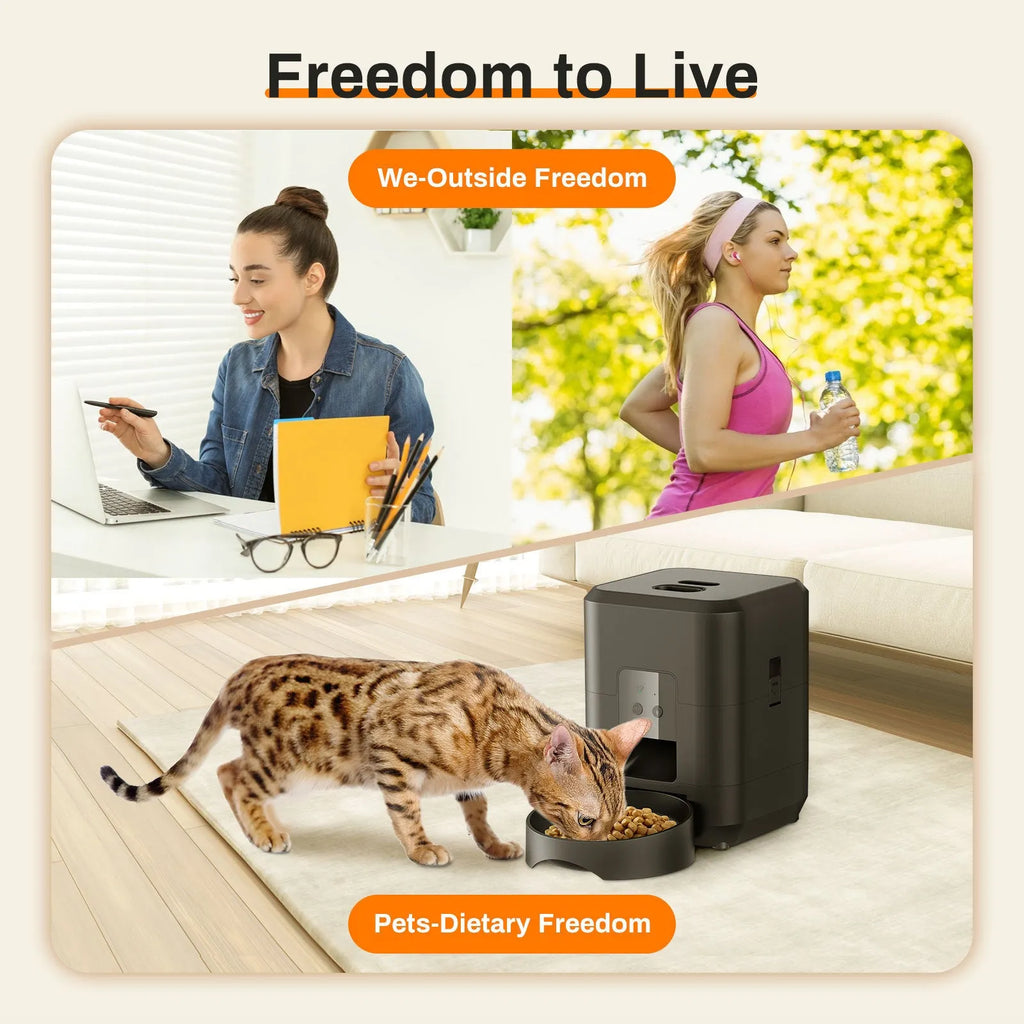 Automatic pet feeder for cats with smartphone app control and video monitoring options