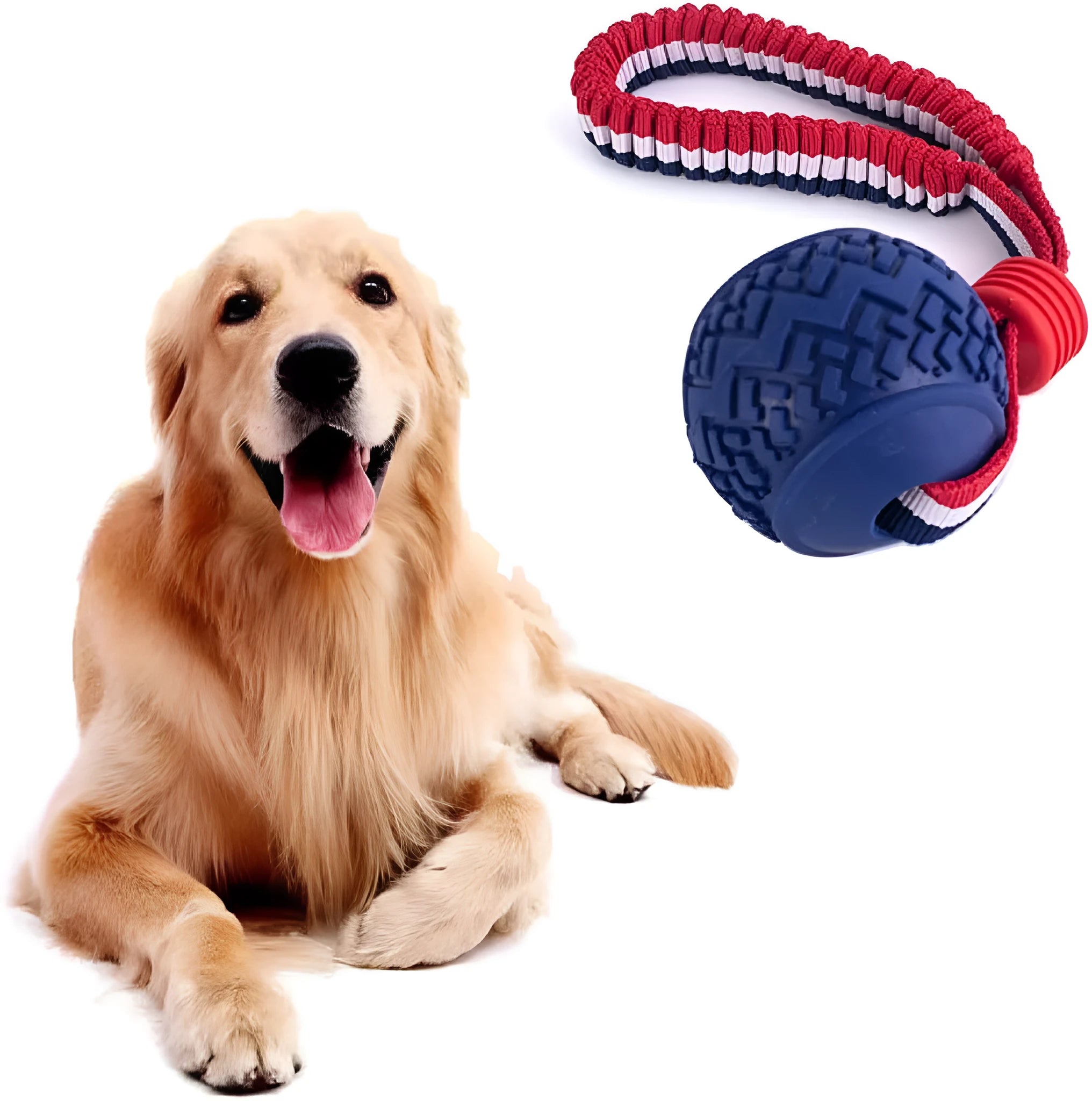Blue dog toy with a textured rubber ball attached to a rope for tug-of-war and chewing