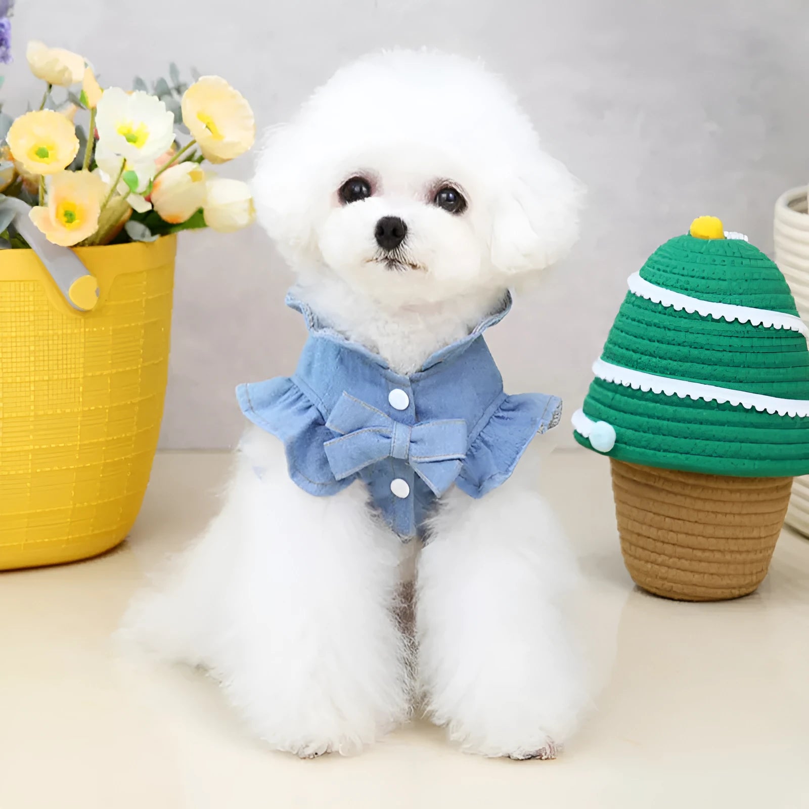 Dark blue denim dog dress with ruffles vest design and leash hook attachment for small canine