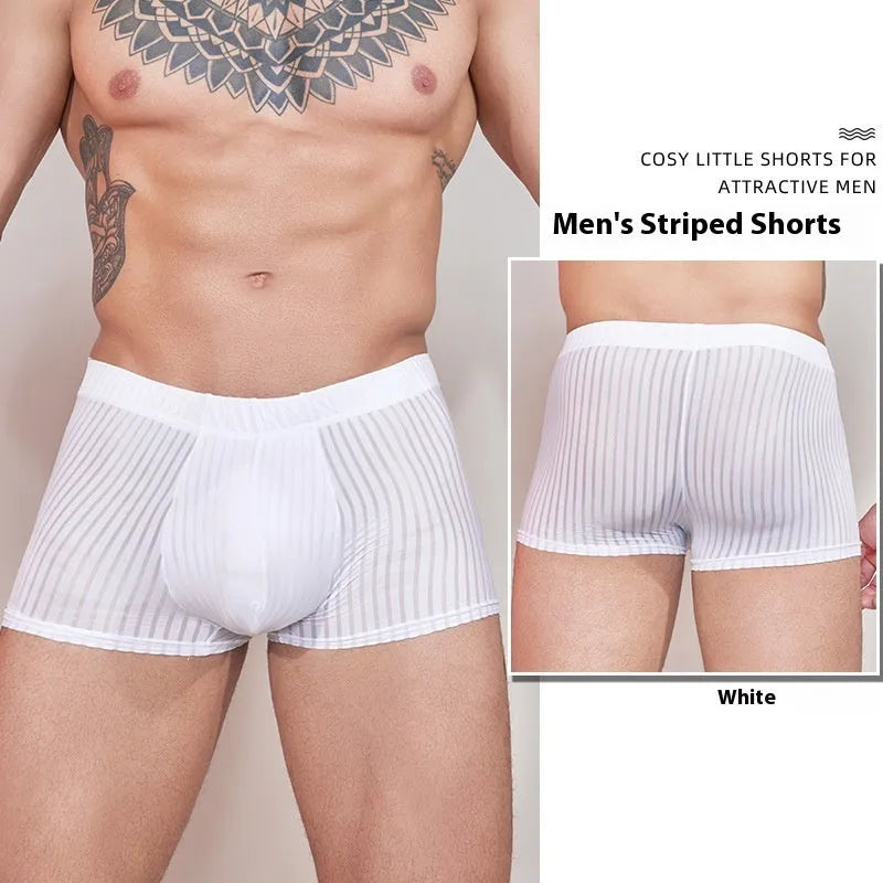 Men's striped underwear in thin transparent nylon fabric, shown in dark grey colour.