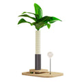 Wooden vertical cat scratching post with canna grab column design in simple style